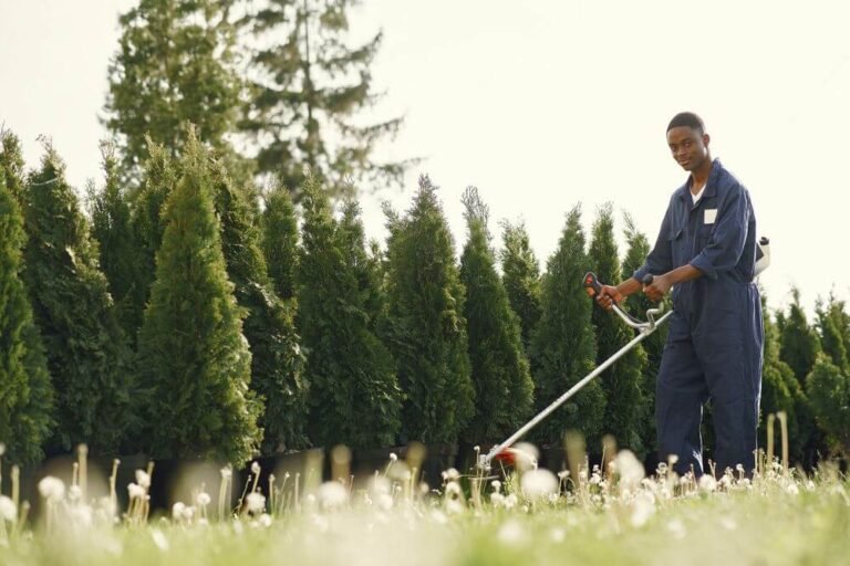 Greenworks